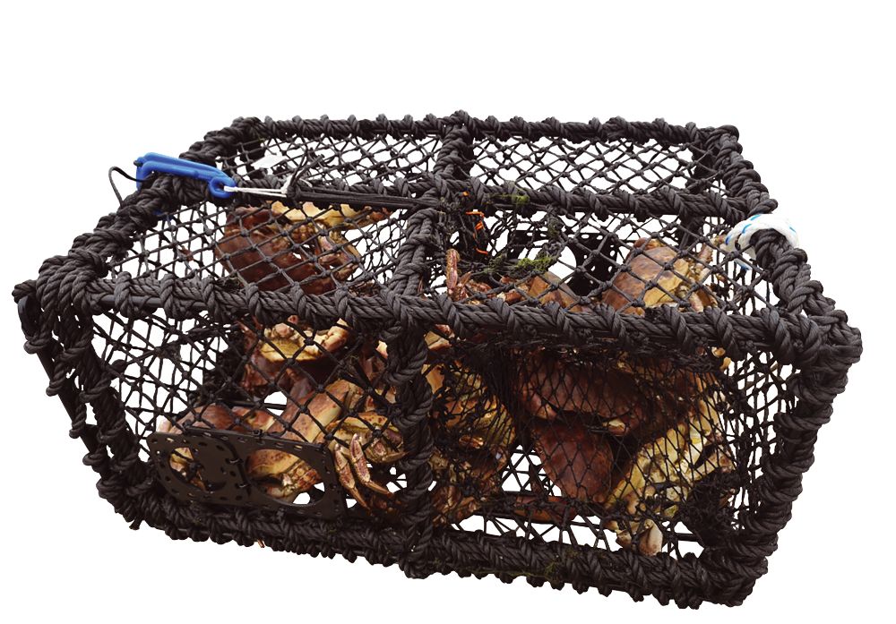 MARINOR Krabbeteine Fedje - Crab trap