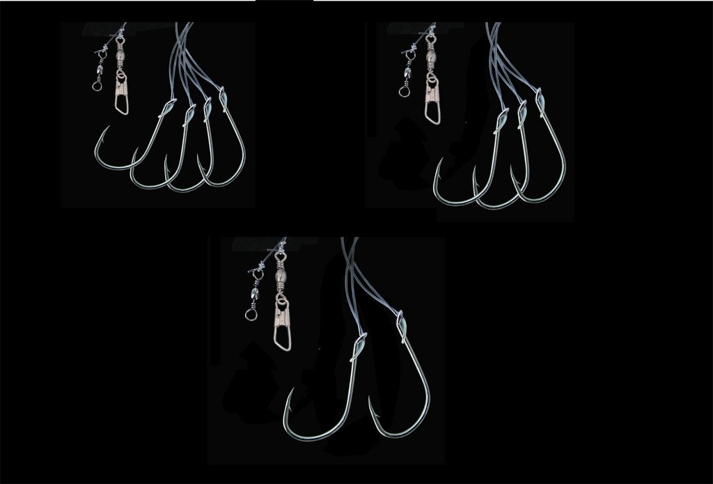 DEGA Natural Bait Rig with Side Arms