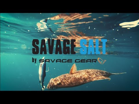 SAVAGE GEAR 4D Herring Big Shad - Gummifisch