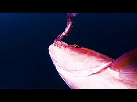 Savage Gear 3D TPE Swim Squid 1 pc. - 63g - brown eye